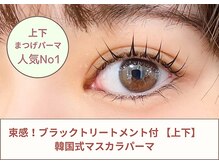 コティ ビューティ(Koti Beauty)/【上下】韓ドル風マスカラパーマ