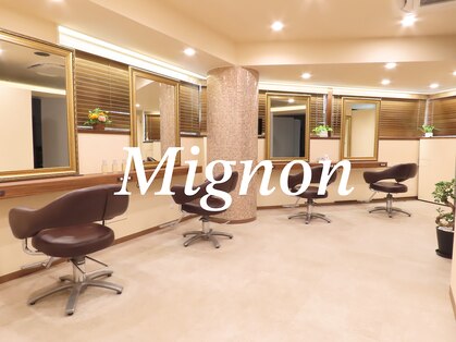 ミニョン(Mignon)の写真