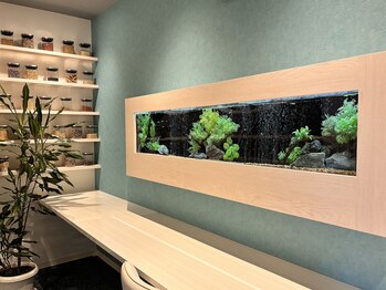 マリーローラン メンズルイズ(Marryrolan MensRuise)