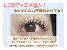 全員/何度でも◎【LEDエクステ】ボリュームラッシュ付け放題