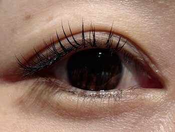 カラン 焼津店(CALIN)/LEDフラットマットラッシュ