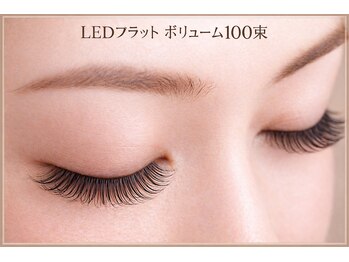 チック(chick)/LEDフラットボリューム100束