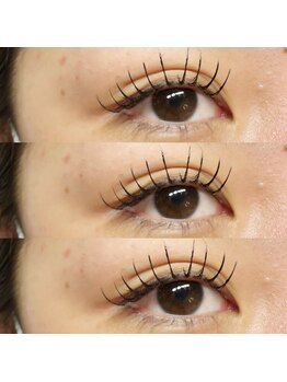 アイラッシュ ベイビーステップ(Eyelash Baby step)/フラットラッシュ140本