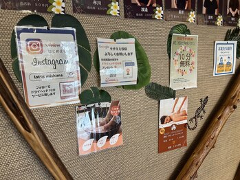 ロータス(Lotus)/特典