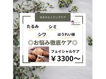 シェノン(Chainon)