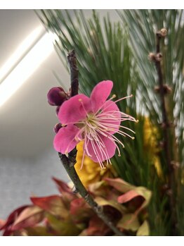 マシュマロハンド/肩こり/冷え/むくみ改善