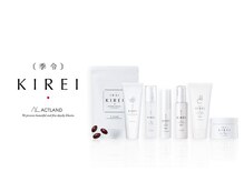 ツリー(tree)/エラスチンのＫＩＲＥＩ