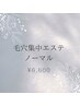 毛穴集中エステ　ノーマル