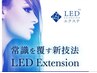 【8月キャンペーン】LED+高級フラットラッシュ上120本+アイシャープ ¥5980