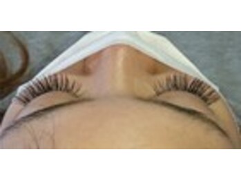 ラクトゥール(Lacteur)/フラットセーブル●160本