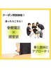 【何を選べばいいかわからない方】もみほぐし+骨格矯正+超音波¥5,600→¥4,000