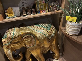 パヤタイトウキョウ 銀座店(PHAYA THAI TOKYO)/オープン記念に♪