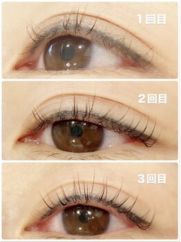 オッターヴァ 学芸大学(8va.)/マイラミネーション（まつパ）