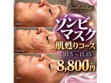 ジュエルオーキッド(Jewel orchids)