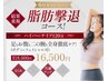 【6月限定】ハイパーナイフ120分（痩身/むくみ/首肩こり）通常価格¥18,000