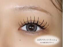 ココハナビ(KOKOHANABI)/LEDフラットラッシュ 付け放題