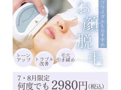 ソラ(Sora)の写真