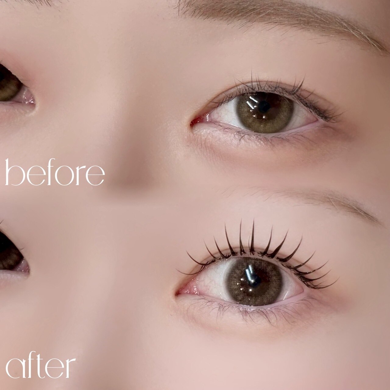 ぱっちり見せたい方《フラット120本×アンドヘルシー》オフ込\14780→\12000