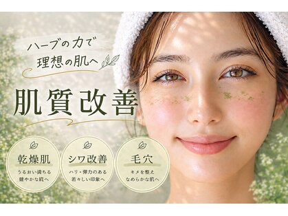 ルーシー(Lucy)の写真