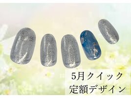 5月クイック定額デザイン