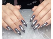 テイミイネイル(Timi Nail)/長さだしマグネットワンカラー