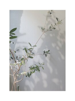 モンド 駒込店(monde)/店内