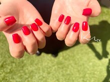 クレー(Klee)/美ワンカラー