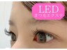 《LED》モチUP↑オイル◎【ダブルフラットorボリュームラッシュ100束】¥8000