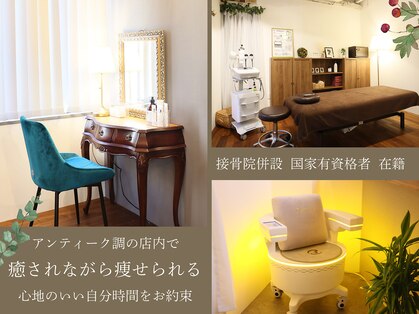 エリカフォルモーサ 北浜(Erika Formosa)の写真