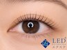 【LEDエクステ】セーブルorフラット100本　¥8,200