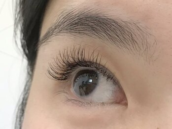 トータス ダイエットアンドアイラッシュ(tortoise diet & eyelash)/アイラッシュ