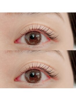 サフィール(Saphir)/まつ毛パーマ　上