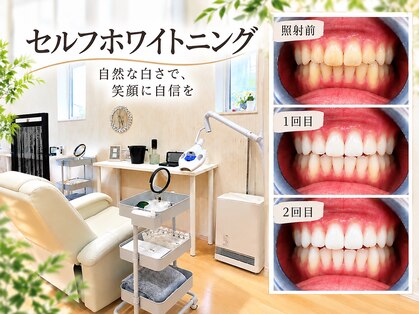 ヴィシア(VIXIA)の写真