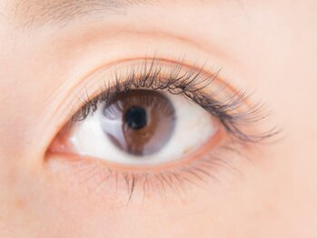 ダリア(DAHLIA)/ボリュームラッシュ