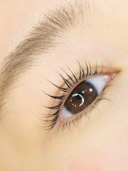 アンドジョリー(&Jolie)/