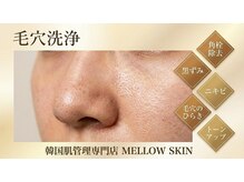メロウスキン(MELLOW SKIN)の雰囲気(お悩みNo1の毛穴洗浄!)