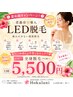 夏準備応援☆青森市初LED脱毛で自己処理をラクに♪ 全身¥5,500(VIO除く)