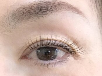 トータス ダイエットアンドアイラッシュ(tortoise diet & eyelash)/アイラッシュ