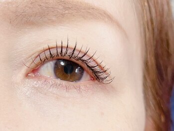 ノーブル 高槻(noble)/フラットラッシュ