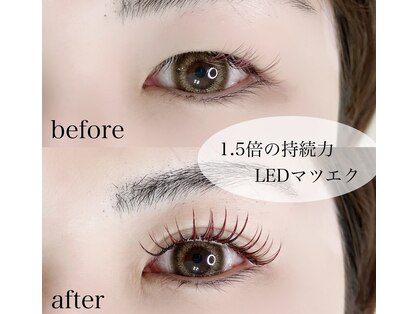 ルチア(LUCIA)の写真