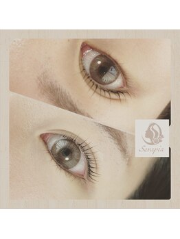 セラピア(Serapia)/Parisienne Lash Lift