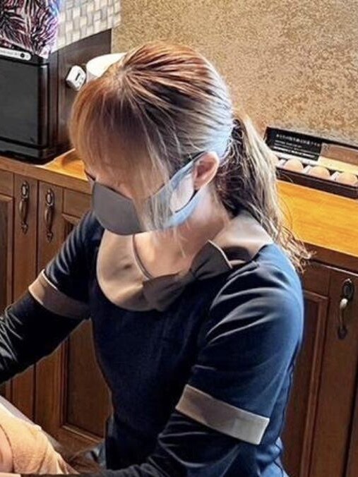 e-ROD 美顔器 LED マイナスイオン オゾン マイナスイオン美容機器 e