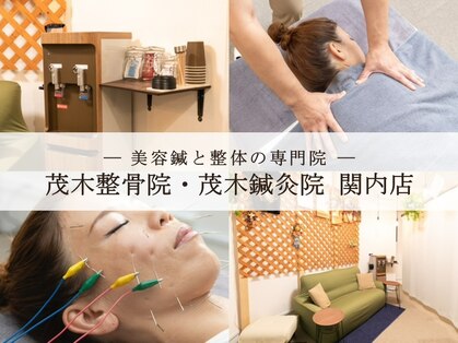 茂木整骨院 茂木鍼灸院の写真