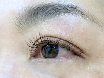 トータス ダイエットアンドアイラッシュ(tortoise diet & eyelash)/アイラッシュ