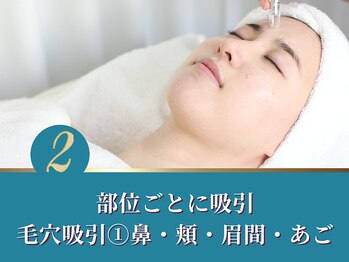 シャルトルズ/２．部位ごとの細かい吸引　１