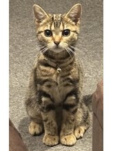 元気 新宿店&nbsp;メリー 