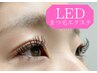 《LED》モチUP↑オイル◎【ダブルフラットorボリュームラッシュ140束】¥10000