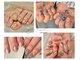 ハチマルイチネイル(801nail)の写真