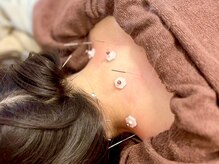 グリーン 京都烏丸店(green)