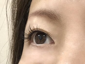 トータス ダイエットアンドアイラッシュ(tortoise diet & eyelash)/アイラッシュ